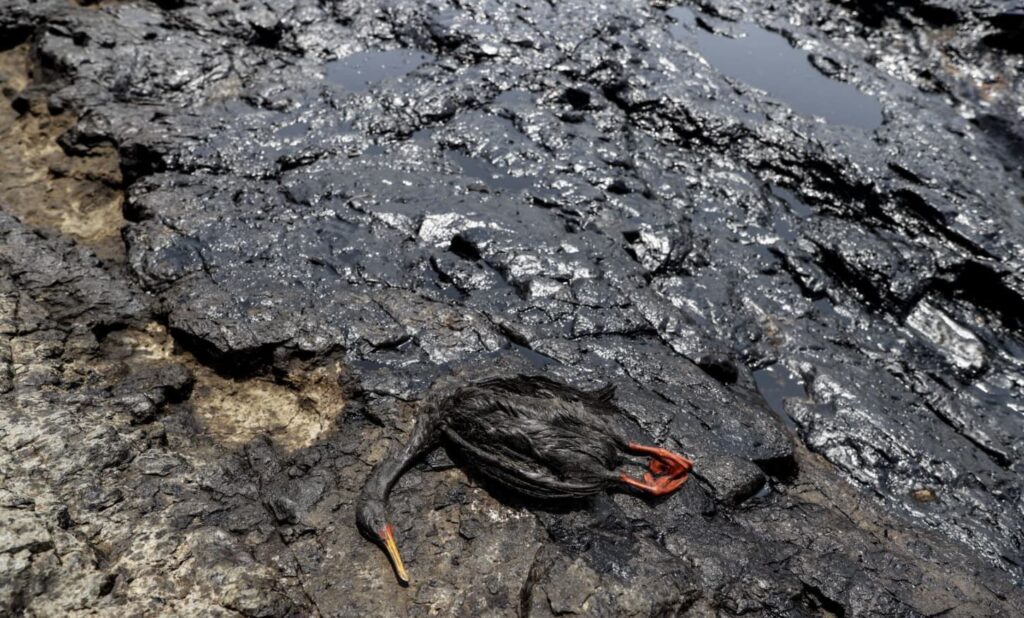 derrame de petróleo en Perú  